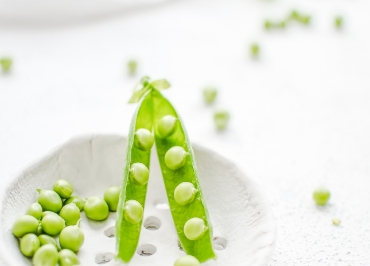 TITULO NOTICIA PAIS 1