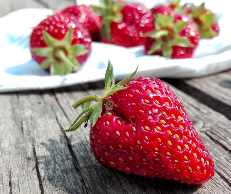 Todaslasloteriasdominicanas.com